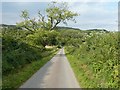 The lane to Sauchrie Burn Bridge