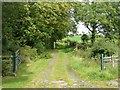 Field access track, Grange Mains, Minishant