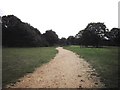 Footpath in Friday Wood, Colchester