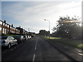 Yew Tree Lane - Dukinfield