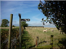 SE2843 : The Dales Way turns right here by Ian S