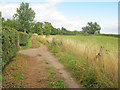 Track at Llanddewi Skirrid