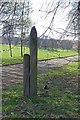 Ducks and Poles, The Ponderosa, Upperthorpe, Sheffield