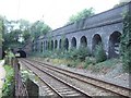 SP0585 : Retaining wall beside railway near Five Ways by David Smith