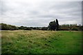 Beam Valley Country Park