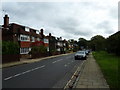 Looking eastwards in Norman Road