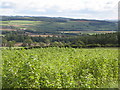 Farmland west of Big Axit