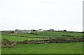 Houses at Tai Morfa