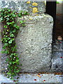 Benchmark on gatepost at entrance to St George