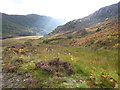 Looking up Glen Strathfarrar