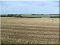 Farmland, Peat Hill