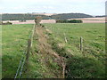 Burn near Arnyburn