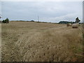 Farmland near Crossfields