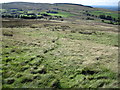 Footpath up Black Hill on Whaley Moor