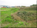 Whitewall Creek Marsh beside Anthony