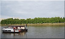 TQ3079 : Thames Embankment by Victoria Tower Gardens by N Chadwick