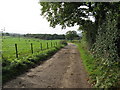 Pitsham Lane south to Lower Barn