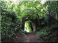 Disused railway bridge viewed from the west