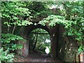 Disused railway bridge viewed from the east