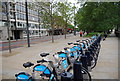 Bikes for Hire, Albert Embankment