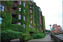 TQ2977 : Riverside apartments, Bourne Valley Wharf by N Chadwick
