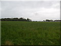 Farmland near Broomhill