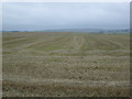 Farmland near Minnonie