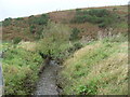 Burn near Bridge of Cushnie