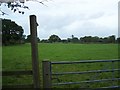 Footpath Near Lowe