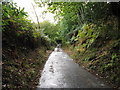 Lane to Dunford House descending Dunford Hollow