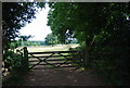 Gate near Wykehurst Farm