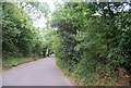 Barhatch Lane looking north