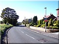 Topiary on Liverpool Road