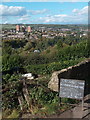 Entrance to Hagg Lane Allotments looking towards Stannington