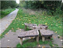 TQ7059 : Butterfly Bench in Leybourne Lake by David Anstiss