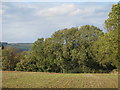 Farmland and woodland near Prospect Hill