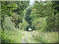 Track north of Newbrough East Lodge (3)