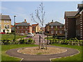 Housing and landscaping at Orchard Way, Lower Cambourne