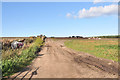 Fields at Myreside