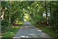 Road past Pitgaveny House