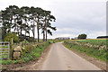 Minor road past Monaughty Farm