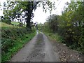 H1673 : Road at Lettercran by Kenneth  Allen