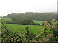 Looking south from Bugshill Lane to Didling Hanger