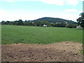 Looking towards high ground from Dixton Road