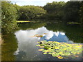 Pond at Amalveor