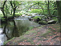 The River Fowey near St Cleer,  Cornwall.