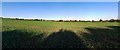 Arable field east of Whittle Dene