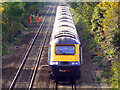 Face to face with a HST 125, South Marston, Swindon