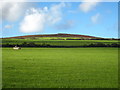 Pasture near Brunnion