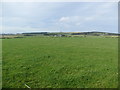 Farmland towards South Blachrie